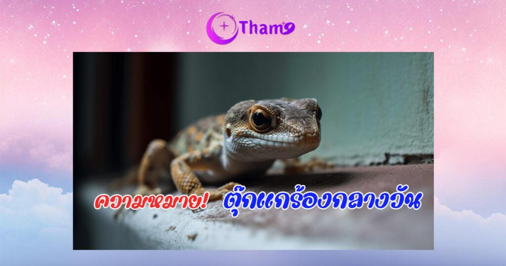 ตุ๊กแกร้องตอนกลางวัน