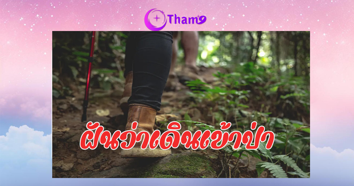 ฝันว่าเดินเข้าป่า