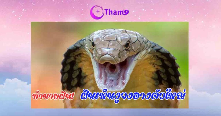 ฝันเห็นงูจงอางตัวใหญ่ 1 ตัว