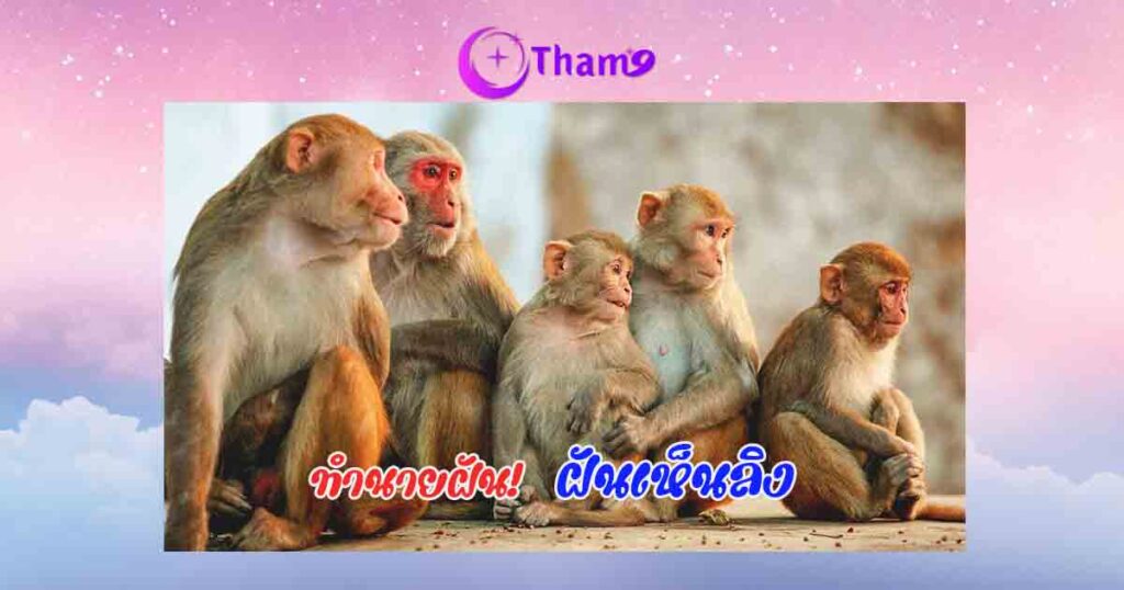 ฝันเห็นลิง