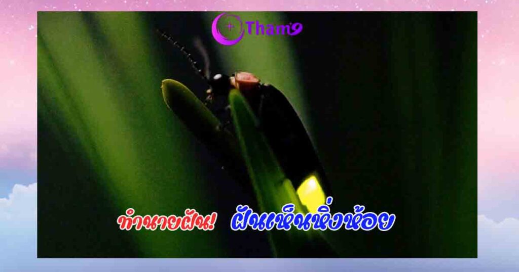 ฝันเห็นหิ่งห้อย