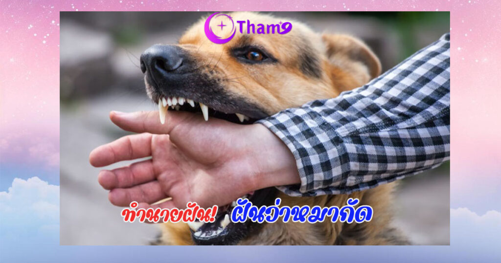 ฝันว่าหมาไล่กัด