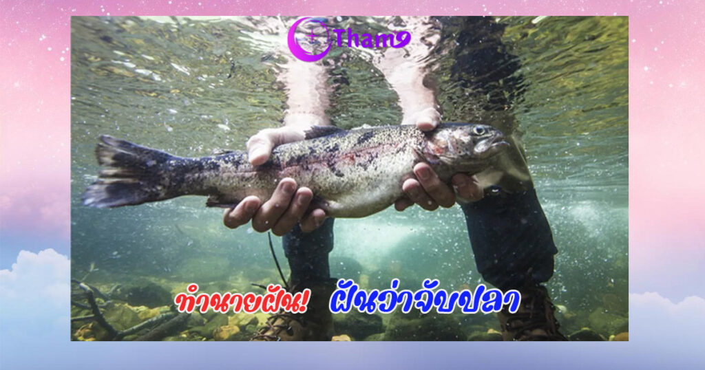 ฝันว่าจับปลา