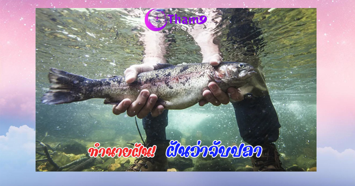 ฝันว่าจับปลา