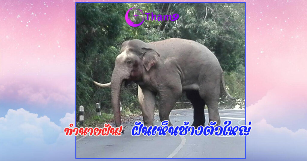 ฝันเห็นช้างตัวใหญ่