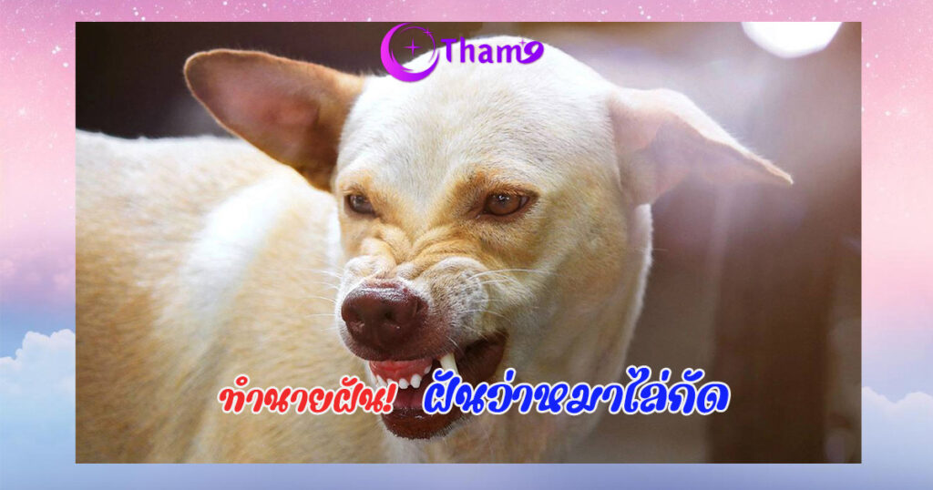 ฝันว่าหมาไล่กัด