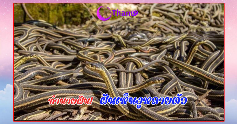 ฝันเห็นงูหลายตัว