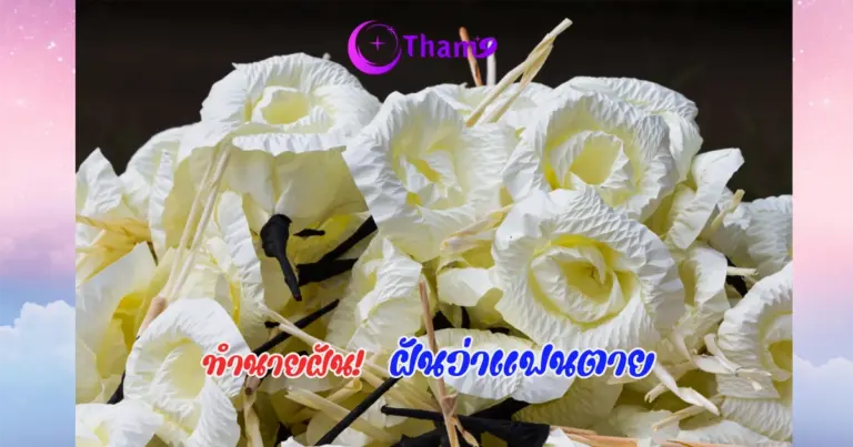 ฝันว่าแฟนตาย