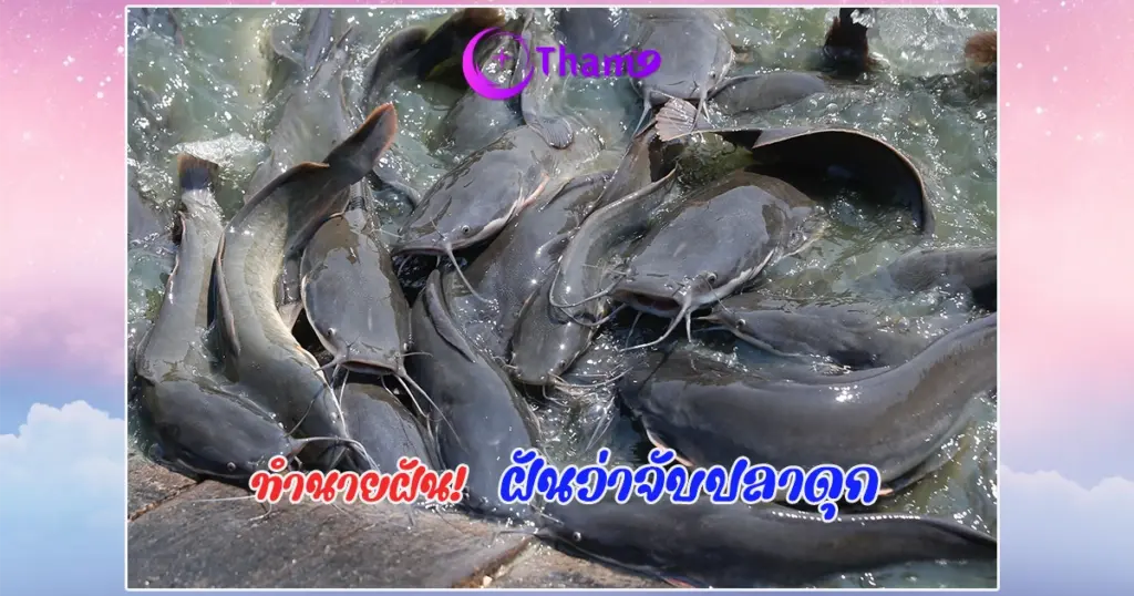 ฝันว่าจับปลาดุก